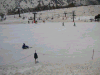 s_pict0111_thumb.png
